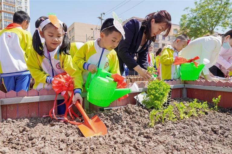 圖為昌吉市第五小學開展的勞動教育課上，學生在老師的組織下種植蔬菜。

