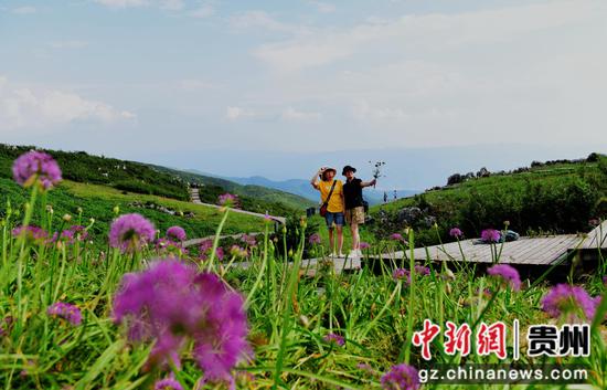 野生韭菜花开吸引游客踏秋避暑。黄庆松摄