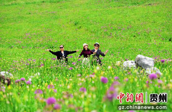野生韭菜花开吸引游客踏秋避暑。黄庆松摄