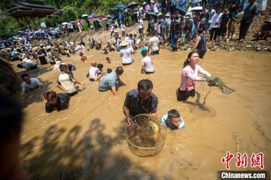 在贵州省从江县斗里镇马安村，人们在闹鱼活动中戏水抓鱼。吴德军 摄
