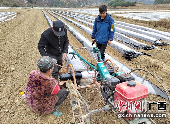 指导烟农使用新式盖膜机，加快逻楼烟叶机械化种植烤烟进程。