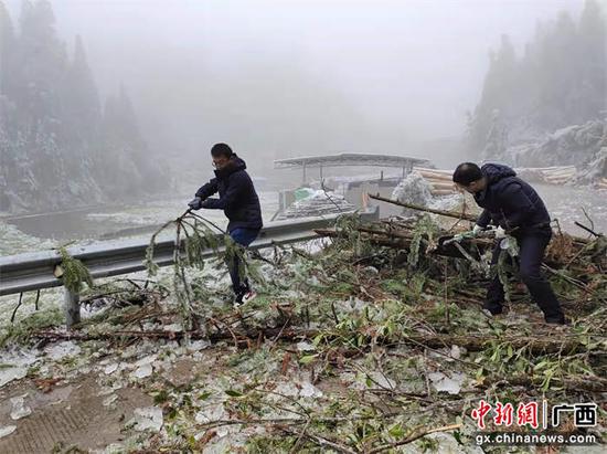 金秀镇六段村驻村工作队清理霜冻冰灾受灾道路。金秀县委组织部供图