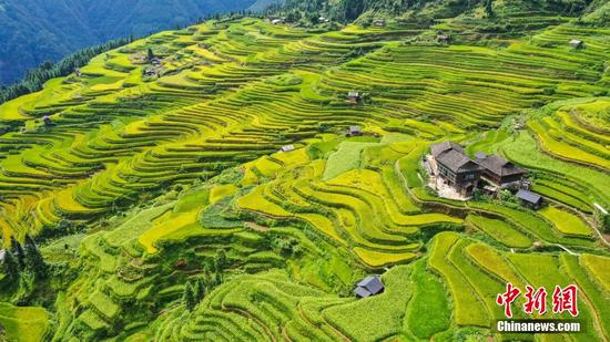 8月29日，贵州省从江县加榜乡加页村的梯田景色。罗京来 摄