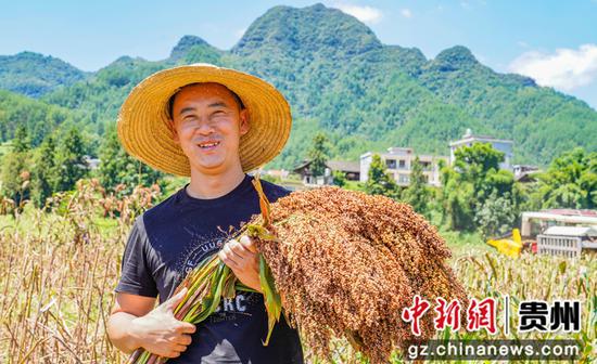 2023年8月31日，村民在务川县黄都镇云丰村高粱种植基地里展示收获的高粱。徐飞 摄