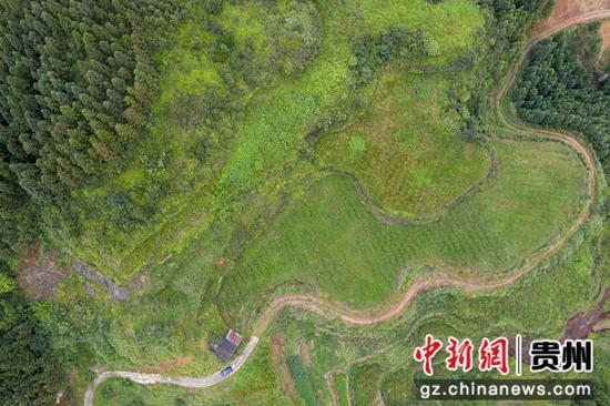 2023年9月4日，村民在贵州省从江县秀塘壮族乡八村村刺梨基地采摘刺梨。