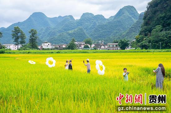 游客在黔西南州万峰林稻田见·小食光露营基地享受亲子时光。 陈威 摄