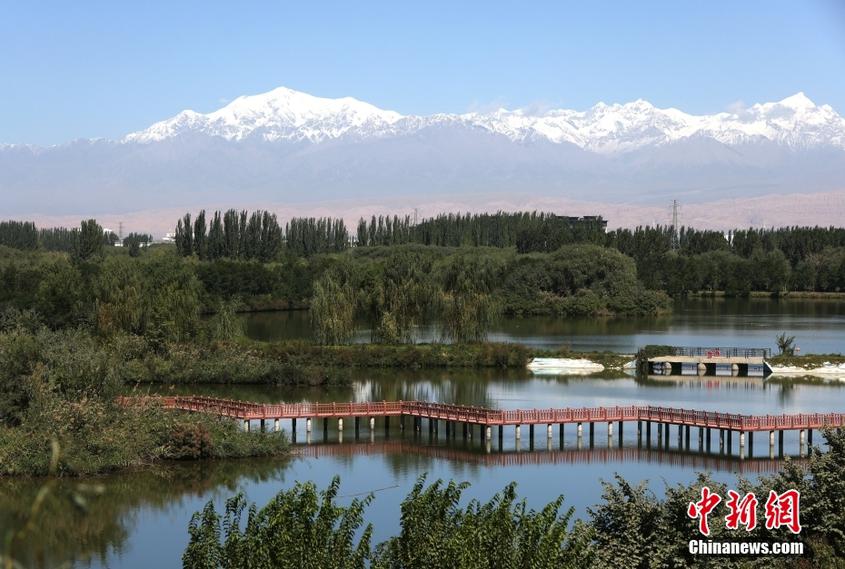 【沿着河湖看新疆】新疆阿克苏：湿地公园生态美