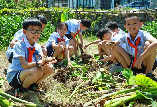 藤桥小学的孩子们在农田中上好“开学第一课”