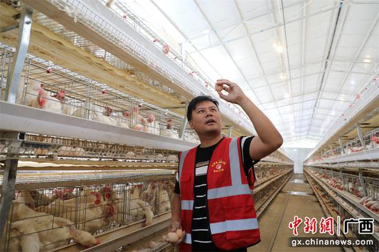 怀渠村第一书记刘文哲检查鸡蛋生产状况。
