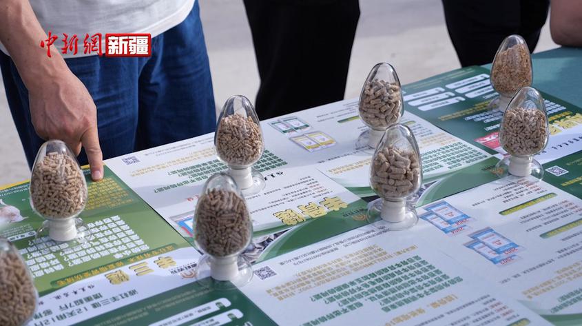 新疆沙雅縣：首個飼料加工項目正式投產