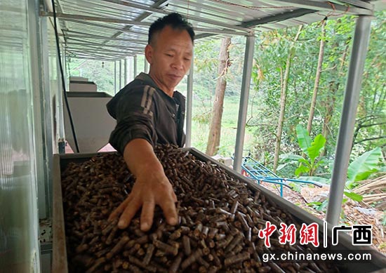 烟农向烤房燃烧机添加生物质燃料颗粒。王国桢 摄 烟农向烤房燃烧机添加生物质燃料颗粒。王国桢 摄