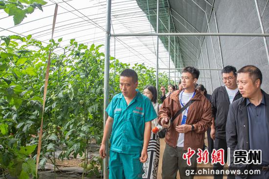 图为华文媒体代表在朱昌镇科技示范园采访。周瑞琮摄