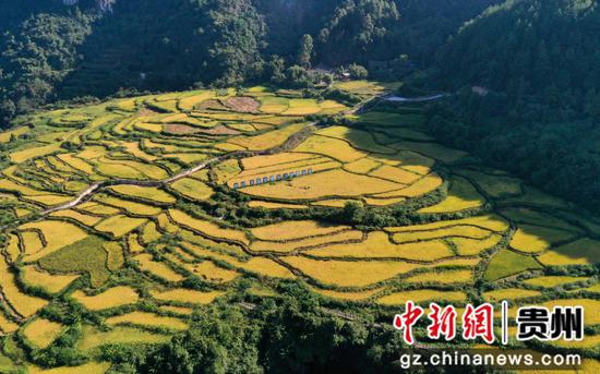 9月17日，农民在贵州省铜仁市松桃苗族自治县盘石镇响水洞村梯田收割稻谷。