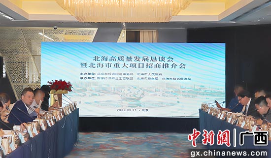 招商推介会现场。何美 摄