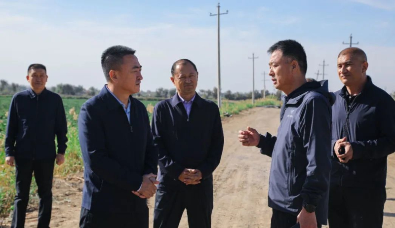 尉犁县委书记李中华深入田间地头调研棉花长势。