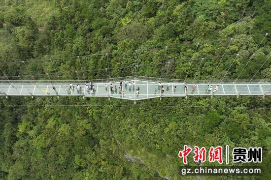 航拍游客在景区玻璃桥上游览。 瞿宏伦 摄 航拍游客在景区玻璃桥上游览。 瞿宏伦 摄