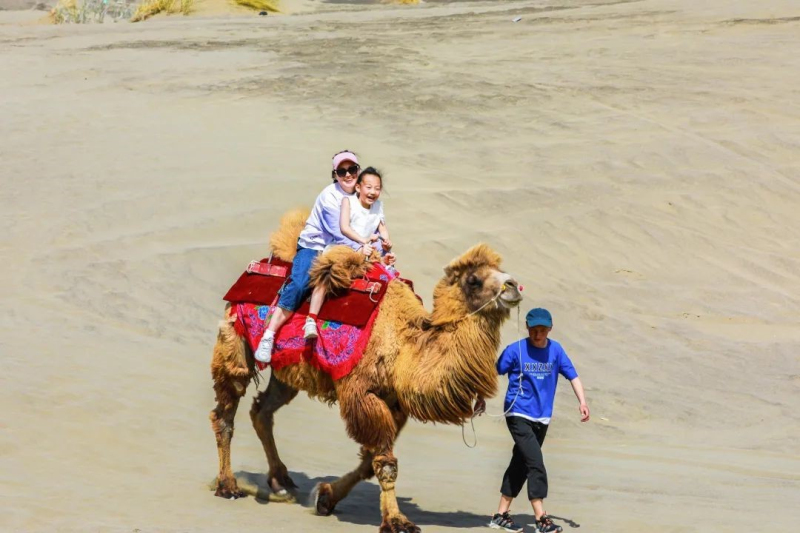 在新疆精河縣木特塔爾沙漠體驗“沙趣”