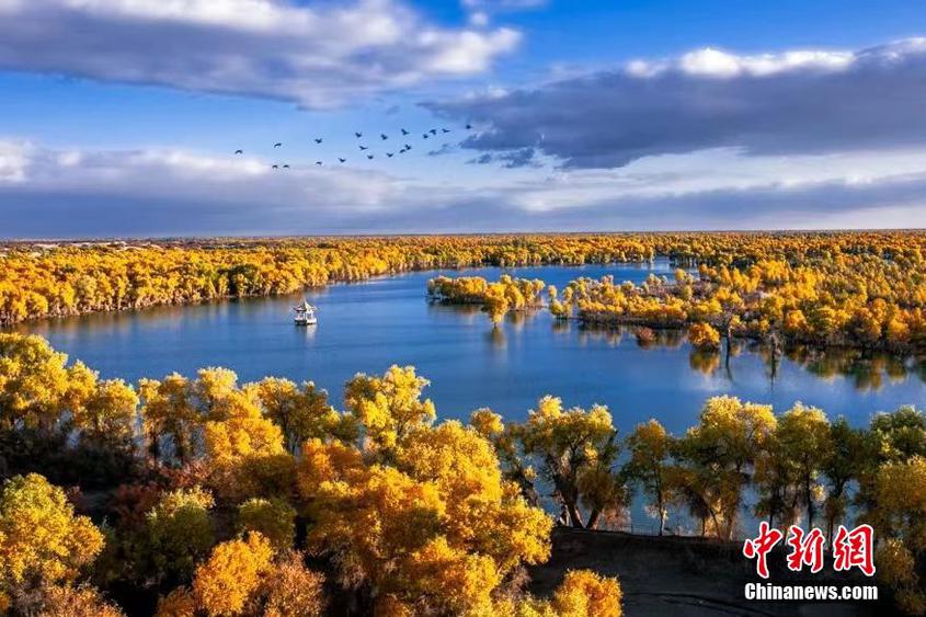 “双节”假期新疆轮台塔里木胡杨林景区成热门旅游目的地