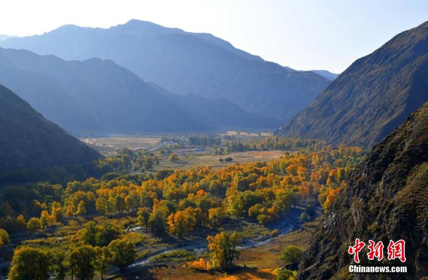 新疆和靜天山深處秋韻多彩唯美如油畫