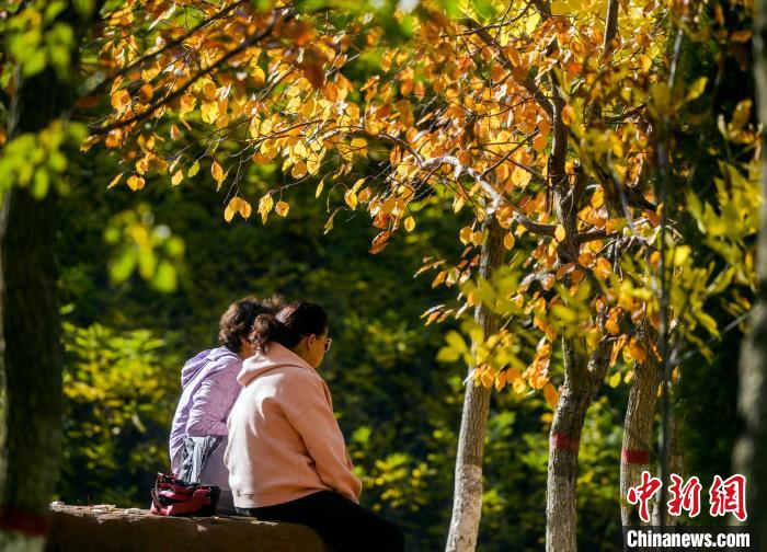 乌鲁木齐公园色彩斑斓秋意渐浓