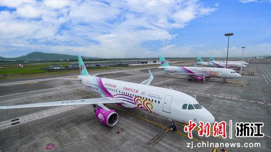 杭州亚运会彩绘飞机。长龙航空供图