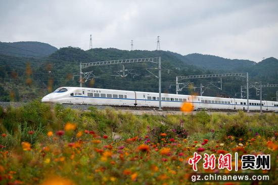 2023年10月10日，列车在贵广高铁贵州省从江县洛香镇境内行驶。