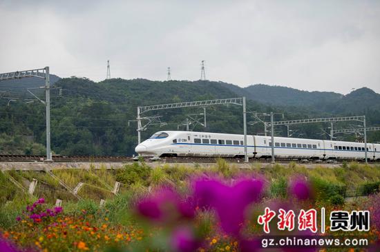 2023年10月10日，列车在贵广高铁贵州省从江县洛香镇境内行驶。