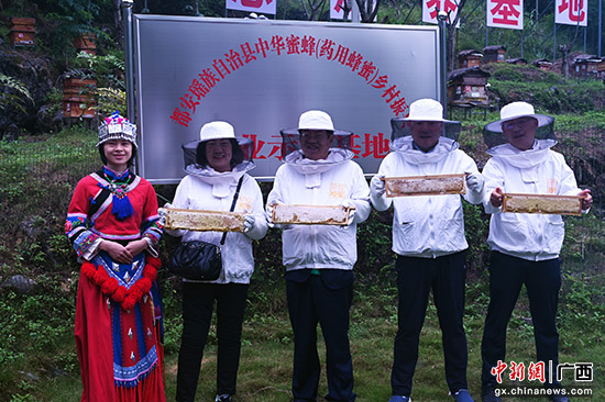 广西都安举办第五届瑶山中蜂开蜜节 “甜蜜产业”助力乡村振兴