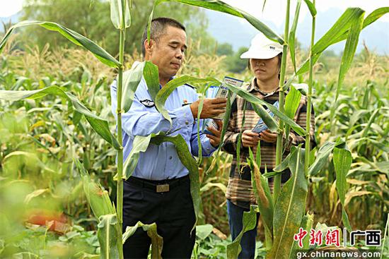 图为民警向种植玉米的农户开展安防知识宣传。甘勇 摄