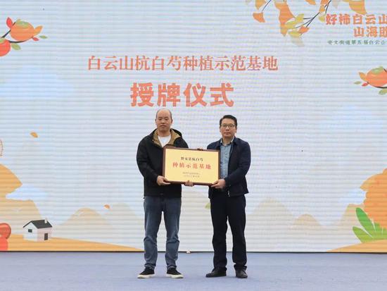  ▲中药材产业促进中心副主任陈春伟为磐安县杭白芍种植示范基地授牌。