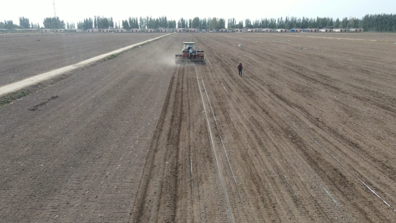 新疆伽师推进高标准农田建设 绘就农业发展好“丰”景