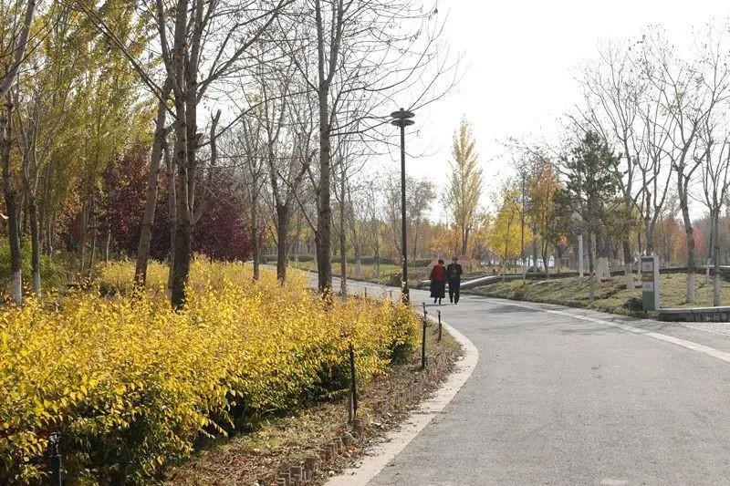 大绿谷生态公园内，市民正在悠闲散步。

