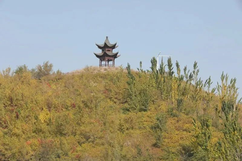大绿谷生态公园内，“瞭望塔”矗立在秋色之中。

