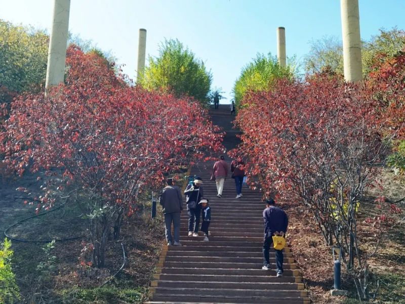 小绿谷公园内，市民走在台阶上。


