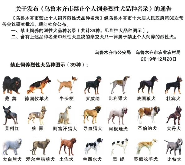 再次提醒！烏魯木齊禁養這39種犬種