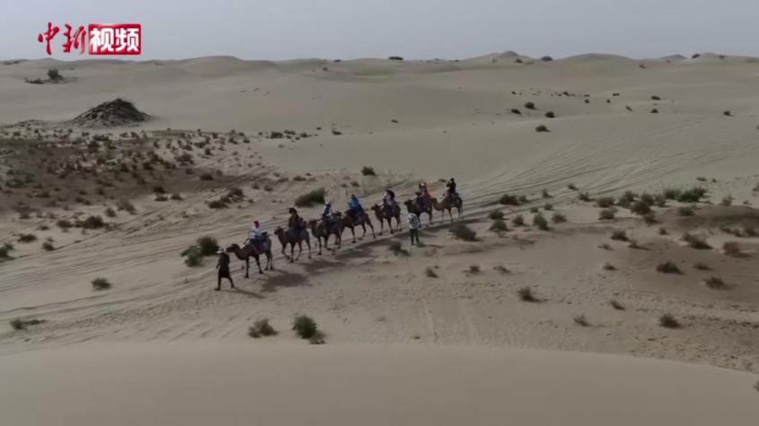 騎駱駝、滑沙、沙?！皼_浪” 塔克拉瑪干沙漠迎游玩熱潮