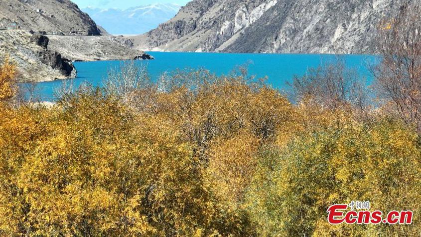 Breathtaking scenery of Yuhu Lake, also known as Jade Lake in Zhaosu County, northwest China's Xinjiang Uyghur Autonomous Region.(Photo: China News Service)