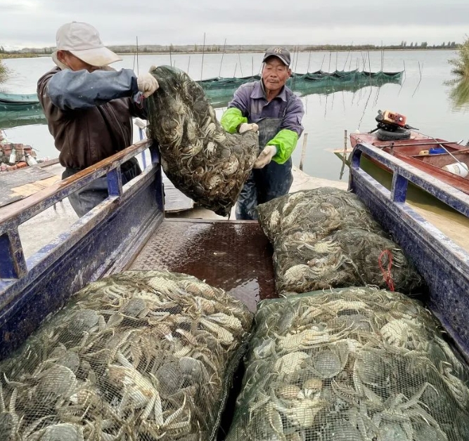 最快48小時送達！新疆這些“海鮮”水產賣全國??