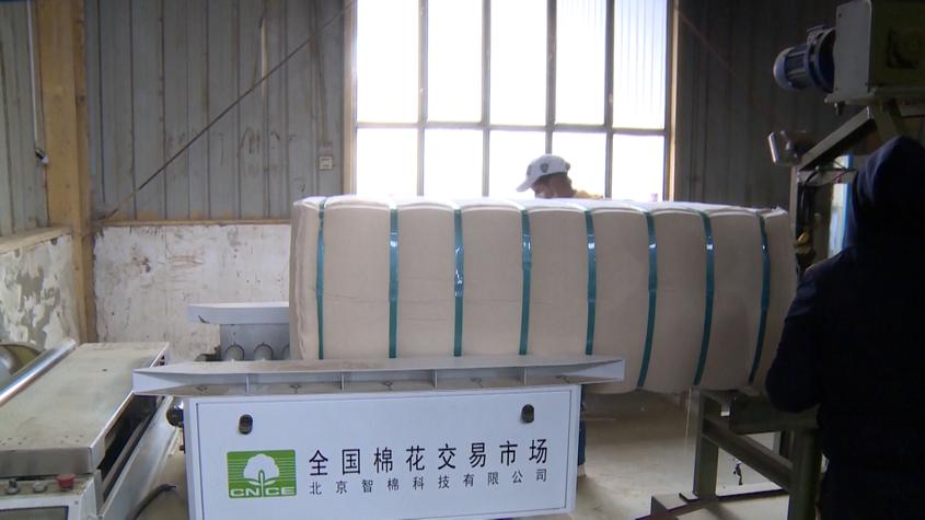 中国优质机采棉加工方法获澳大利亚专利授权