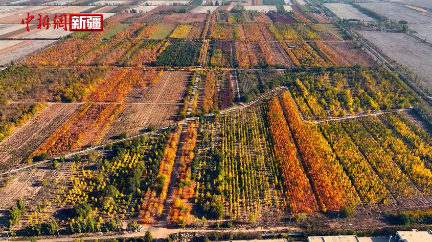 新疆呼图壁县：“西部苗都”的秋天