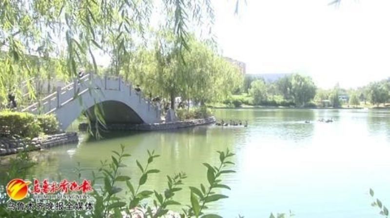 八钢公司夏季厂区一角。企业供图

