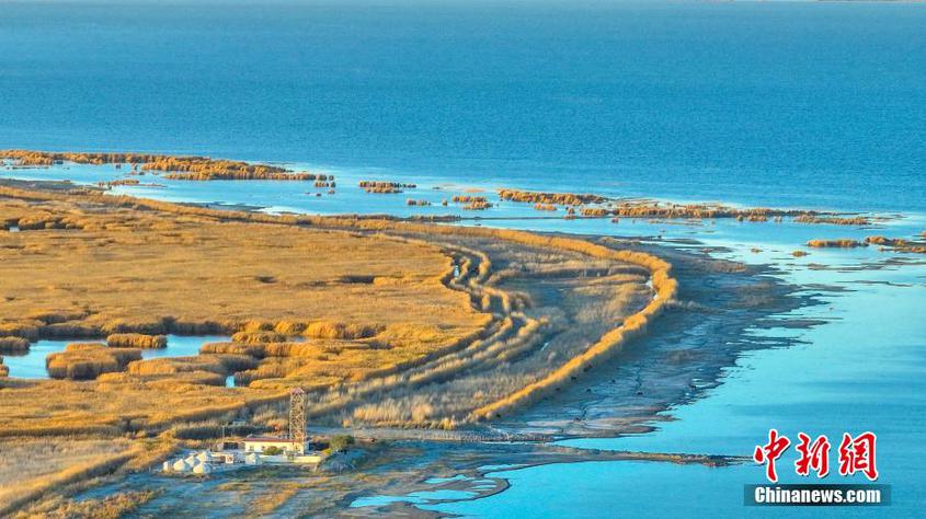 新疆博斯腾湖：浩瀚芦苇荡中的金色深秋