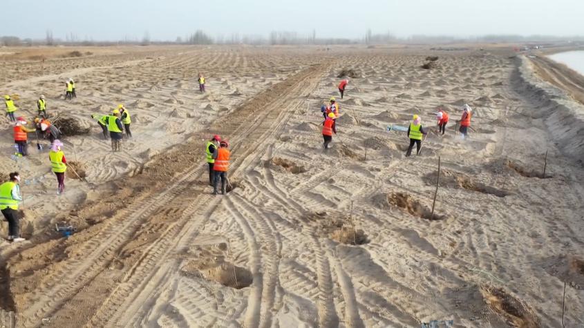 新疆阿克苏山水林田湖草沙一体化保护和修复工程收尾