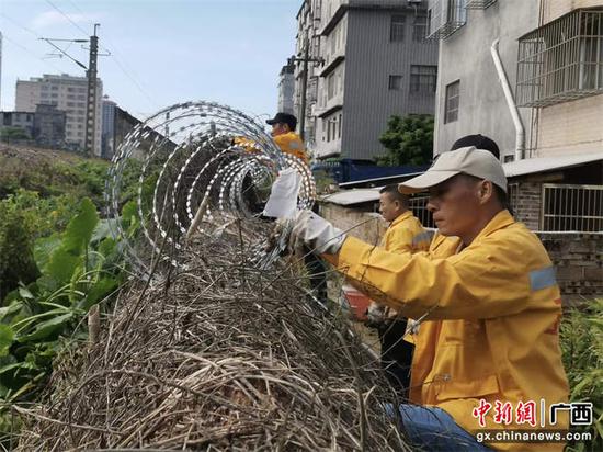 图为玉林工务段职工在黎湛线给防护栅栏加装刺笼提升防护效果。黄春陆 摄 图为玉林工务段职工在黎湛线给防护栅栏加装刺笼提升防护效果。黄春陆 摄