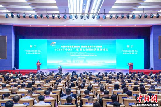 11月3日，2023年中国(广西)非公有制经济发展论坛在广西南宁市举行。图为论坛现场。中新社记者 陈冠言 摄