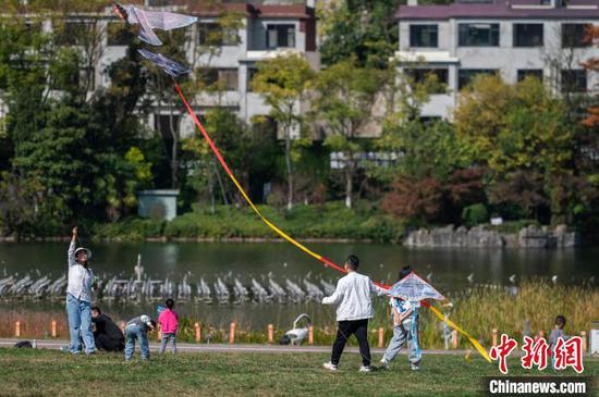 11月5日，市民在贵阳市白云区泉湖公园游玩放风筝。唐哲 摄