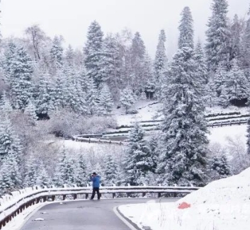 那拉提冬季旅游優惠來啦！滑雪將獲贈景區門票