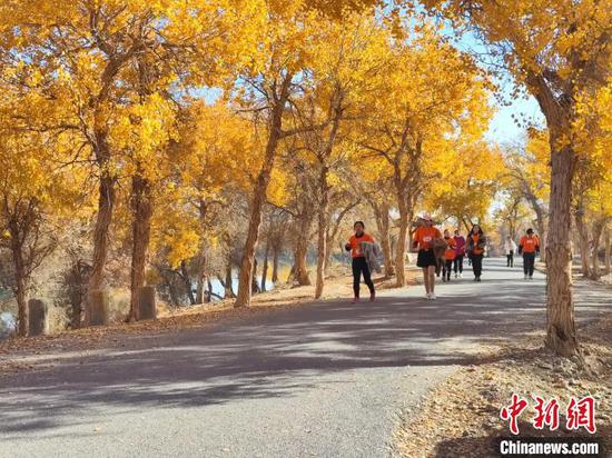 图为逾千名徒步爱好者在新疆喀什地区巴楚县红海景区胡杨林中“角逐”。地里夏提 摄