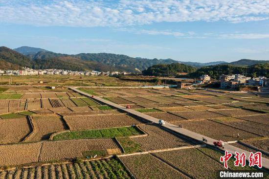 11月6日，贵州省从江县洛香镇上皮林村的农民在田间种植油菜苗(无人机照片)。吴德军摄