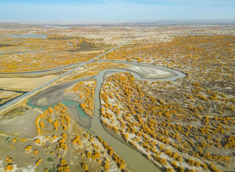 尉犁县罗布淖尔国家湿地公园，金色的胡杨倒映在蔚蓝的水中，形成一幅秀美的画卷。
